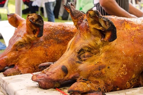 Roast Pigs