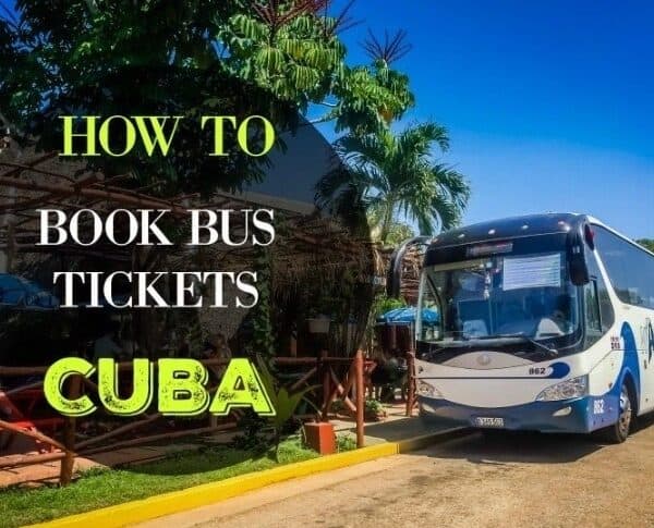 Booking Viazul Bus Tickets